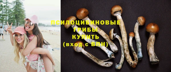 jwh Арсеньев